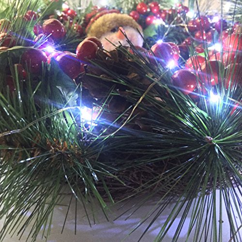 Set of 2 Battery Operated Small Lights Strand,Mini Led Fairy Lights with Timer 6 Hours on/18 Hours Off for Wedding Centerpiece Party Decoration,30 Count LED,10 Ft Silver Wire (Cold White)