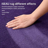 ISEAU 2x4 Soft Runner Rug for Hallway, Washable and Non-Slip, Purple
