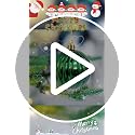 Green Christmas Balls 16ct 2.36”Christmas Tree Decoration, Shatterproof Plastic Decorative St. Patrick's Day Ball Ornaments Exquisite Designs (Green)