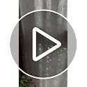 Joydeco Natural Linen Beige Boho Curtains - 84 Inch Length 2 Panels, Super Soft Bohemian Farmhouse Curtains with Tassels, Semi Sheer Light Filtering Drapes for Bedroom & Living Room