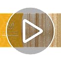 MYSKY HOME Boho Floral Curtains 84 inch Long 2 Panels Set Golden Mustard Yellow Farmhouse Curtains for Bedroom Living Room Light Filtering Semi Sheer Drapes with White Tassel Back Tab, 50" Wide