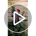 Tree Buddees King Kong Climbing The Tree Funny Christmas Tree Topper - Large 10"