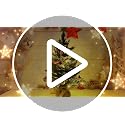 Mini Christmas Tree with Lights, 24 Inch Tabletop Christmas Tree with Berries Star Treetop Ornaments Balls Artificial Small XMS Tree for Table Desk Home Christmas Holiday Decor