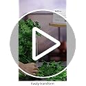 DearHouse 84 Feet 12 Strands Artificial Ivy Leaf Plants Vine Hanging Garland Fake Foliage Flowers Home Kitchen Garden Office Wedding Wall Decor, Green