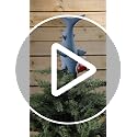 Tree Buddees Great White Shark Christmas Tree Topper - Large 10"