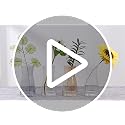 8 inch Clear Glass Flower Vases for Centerpiece Table Home Indoor Desk Decor,Ins Modern Boho Style Vase for Wedding Housewarming Gift
