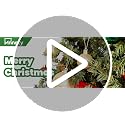 Annecy Christmas Tree Ornaments - 36 PCS Shatterproof Christmas Ball Ornaments Set for Holiday, Wreath & Party Decorations (Multi-Size, Red, Green, Gold)
