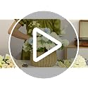 Auihiay 64 PCS Artificial Hydrangea Flowers, Silk Hydrangea Full Flowers Heads with Stems for Wedding Centerpieces, Home, Garden, Baby Shower, Party Decoration (Ivory)