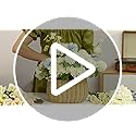 Auihiay 26 Pieces Hydrangea Artificial Flowers Silk Hydrangea Flowers Artificial Flowers Heads with Stems for Home Wedding Party Decorations (Ivory)