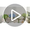Yastouay 3 Pcs Real Touch Hydrangea Artificial Flowers, 21" White Full Faux Hydrangea Flowers Latex Fake Flowers for Home Decor Party Floral Arrangements Wedding Bouquets Centerpieces Outdoor Decor