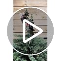 Tree Buddees Creepy Krampus Tree Topper for Christmas or Halloween Trees - Large 10"