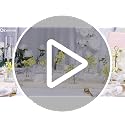 Glasseam Mini Glass Bud Vases: Small Clear Vases for Centerpieces Cute Tiny Flower Vase Set of 5 for Flowers Modern Centerpiece Decor for Wedding Party Dining Room Decoration