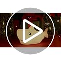ZKLiLi Shark Night Light,Rechargeable Cute Squishy Lamp for Boys Girls Gifts Night Lights Teens Nursery Touch Room Decor Gifts