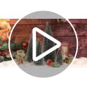 Desktop Miniature Pine Tree Tabletop Christmas Tree Small Pine Tree Decor Christmas Tree Toppers (Green 4pcs)