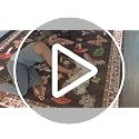 ROYHOME Mushroom Washable Rug 5x7 Area Rugs for Living Room, Insect Print Rug for Bedroom, Non Slip Throw Carpet with Rubber Back, Soft Low Pile Dining Room, Brown