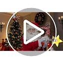 Christmas Tree Topper Gnomes Decorations,22 Inch Handmade with Lighted Star | Gnome Tree Topper Remote Control Lighted Star Lighted Multi-use Xmas Ornament for Home Wine Bottle, Curtain, handrail