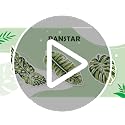 Panstar Green Leaf Kids Rug, Monstera Shaped Rug for Bedroom Bathroom Non Slip Microfiber Tufted Plant Large Bath Mat Boho Home Decor Large Size 43"X36"