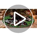 Christmas Tree Skirt 48 Inch Tree Collar Holiday New Year Winter Xmas Tree Decor Christmas Decorations for Home Party
