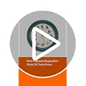 Mark Feldstein, The Original Singing Bird Clock, 10.7 Inch, Green