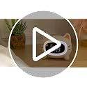 ANALOI Kids Alarm Clock Ok to Wake Alarm Clock for Kids, Toddlers Night Light Clock for Bedroom, Cat Alarm Clock with Sleep Training and Sound Machine, Birthday Gift for Boy Girls Children