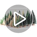 30Pcs Mini Christmas Trees - Artificial Christmas Tree Bottle Brush Trees with 5 Sizes, Snow Trees with Wooden Base for Christmas Party Home Table Craft Decor (GrassGreen+Green+White)
