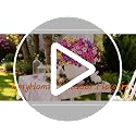 AmyHomie Artificial Plants & Flowers for Outdoors – 16 Bundles White Fake Lavender Flowers & Monkey Grass, UV Resistant Faux Greenery for Patio, Porch, Planter, Garden and Window Decor