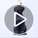 Old World Christmas Black Labrador Dog Collection Glass Blown Ornaments for Christmas Tree 3.75 x 1.5