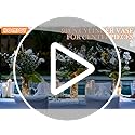 4 Pack Glass Cylinder Vases 4,6,8,10 Inch Tall Clear Flower Vase Hurricane Floating Candle Holder for Table Centerpiece Wedding Home Decor