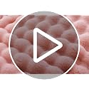 Smoofy Faux Fur Throw Blanket for Couch - Blush Pink Super Soft Cozy Bubble Blanket, Fluffy Plush Fuzzy Throw for Sofa & Bed, Thick Lightweight Warm Blanket, Luxury Aesthetic Gift for Women 50"x60"