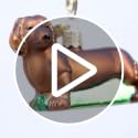 Old World Christmas Dachshund Glass Blown Ornament for Christmas Tree, Handcrafted Holiday Decoration, Dog Collection