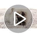 Rugxara 6x9 Washable Area Rug for Living Room, Modern Abstract Large Boho Rugs for Office, Dining Room, Kids Room, Farmhouse, Durable Low Pile Non Slip Carpet for High Traffic Areas, Beige Grey