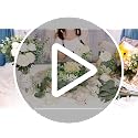 Dexpinzo 120 Pcs Mixed Artificial Eucalyptus Stems Flowers Bulk, 15 Kinds | Fake Silver Dollar Eucalyptus Faux Silk Greenery Leaves for Wedding Centerpieces Vase Bouquets Floral Arrangement Home Decor