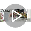 RECUTMS Artificial Flowers, Fake Boxwood Outdoor UV Resistant Plants Artificial Springs Flowers Eucalyptus Greenery Shrubs Bridal Wedding Bouquet for Home Garden Party Wedding Decoration,8Pcs(White)