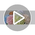 JINWOE Green Hydrangea Artificial Flowers, 5Pcs 20Inch Large Lifelike Faux Silk Flowers, Full Artificial Hydrangeas for Bouquet Table Centerpieces Indoor Spring Outdoor Home