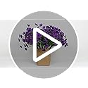 LikSoor 21 Bundles Artificial Outdoor UV Resistant Flowers No Fade Fake Outside Flowers Plastic Greenery Faux Shrubs Garden Porch Window Box Home Decoration(Purple)