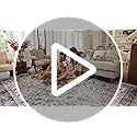 Rugxara 2x6 Washable Runner Rug, Non Slip Boho Runner Rugs for Hallway, Kitchen, Entrance, Bathroom, Laundry Room, Soft Ultra-Thin Entryway Carpet, Throw Low Pile Retro Imitation Carpet, Blue Grey