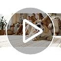 Nakagishi Area Rug Living Room Rugs: 5x7 Large Soft Machine Washable Boho Moroccan FarmNeutral Stain Resistant Indoor Floor Carpet for Bedroom Under Dining Table Home Office Decor-Cream Brown