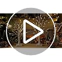 Macarrie 6 Pcs Birch Tree with LED Lights Christmas Wedding Decorations Tabletop Lighted White Mini Artificial Branches Battery Powered or USB Twinkling Table Centerpiece Indoor Gift (18 Inch)