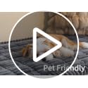 MEETSKY Pet Couch Covers for 2 Cushion Sofa, Couch Cover for Dogs, Washable Love Seat Couch Covers, Non Slip Simply Put Sofa Slipcovers, Modern Style Furniture Protector, Moss Green, 27.6" x 59"