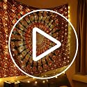 Tuanse 195 LED Curtain Tapestry Lights Backdrop String Lights, 6.5 x 5 Feet Hanging Fairy Curtain Light with 8 Lighting Modes and Remote for Bedroom Window Wall Indoor Outdoor Graduation Decor 1 Pack