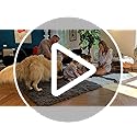 OLANLY Area Rugs for Living Room Bedroom, Machine Washable 4x5.9 ft Soft Fluffy Shaggy Bedside Rug, Indoor Floor Carpet for Kids Girls and Boys, Dorms, Nursery Rooms, Home Decor Aesthetic, Grey