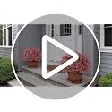 VIERENA 12 Bundles Artificial Flowers and Eucalyptus for Outside, Sun Resistant Silk Fake Morning Glory with Faux Eucalyptus Plants for Garden Porch Farmhouse Home Spring Summer Decor (Rose Red)